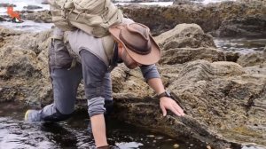 ОГРОМНЫЙ СЛИЗНЯК / Самый большой в мире / Койот Питерсон на русском