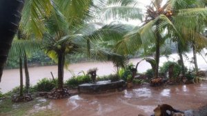 Sri Lanka,ශ්රී ලංකා,Ceylon,Mud House (style) ,Bamboo Applied,Restaurant