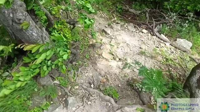 Вид на горы Бештау и Машук с горы Железной