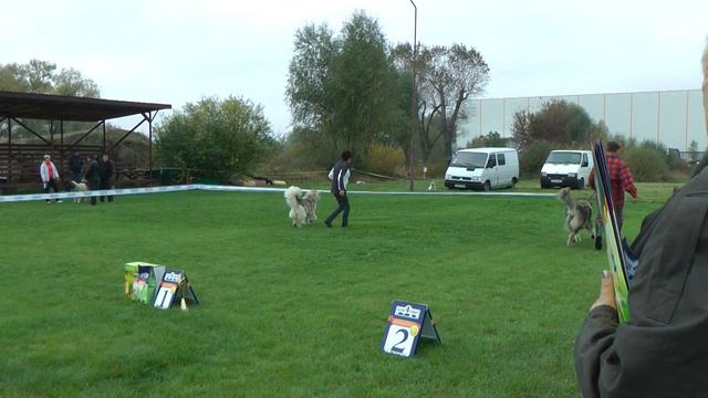 СРАВНЕНИЕ НА ЛУЧШУЮ СУКУ смотреть онлайн