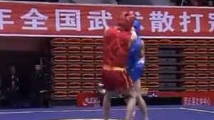 Chinese Sanshou Championship 2013 - Zhu Yang Tao (Shanghai) VS Yinbao (Guangdong)