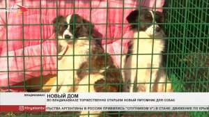 Во Владикавказе торжественно открыли новый питомник для собак