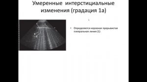 УЗИ легких. 2 часть