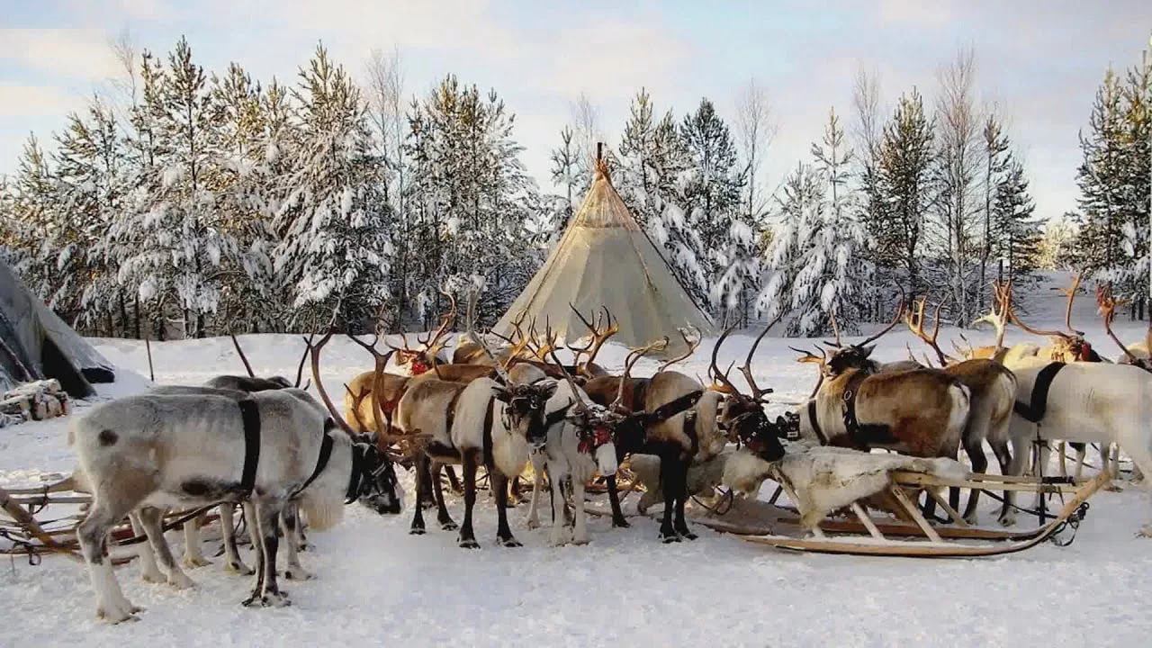 Хантыйское стойбище картинки