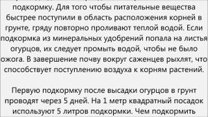 Чем подкормить огурцы в грунте
