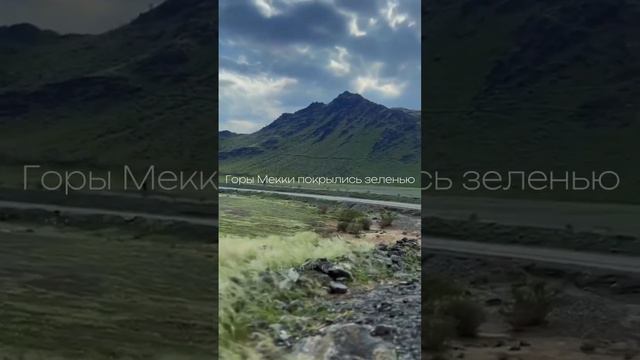 Признак Судного Дня . Озеленение пустынь Мекки . Пустыни Аравии зеленеют