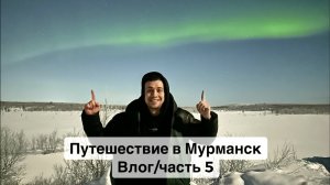 Путешествие в Мурманск/ Териберка/ Влог часть 5/ Северное сияние/ Киты