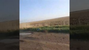 Коп в приморье 2020 / копаем под Уссурийском / Загородное