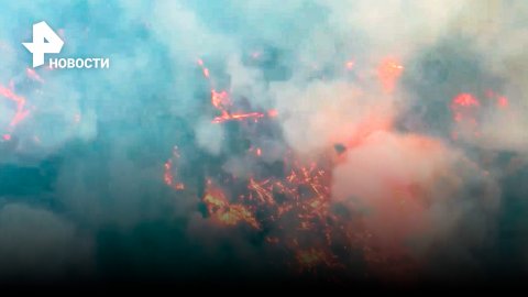 Во время тушения лесных пожаров в Рязанской области погиб человек / РЕН Новости