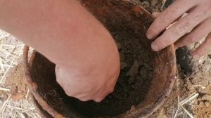 хутор Самсоновский 26-27-28.07.2024