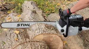 Holzfforma G660 Pro Hardwood