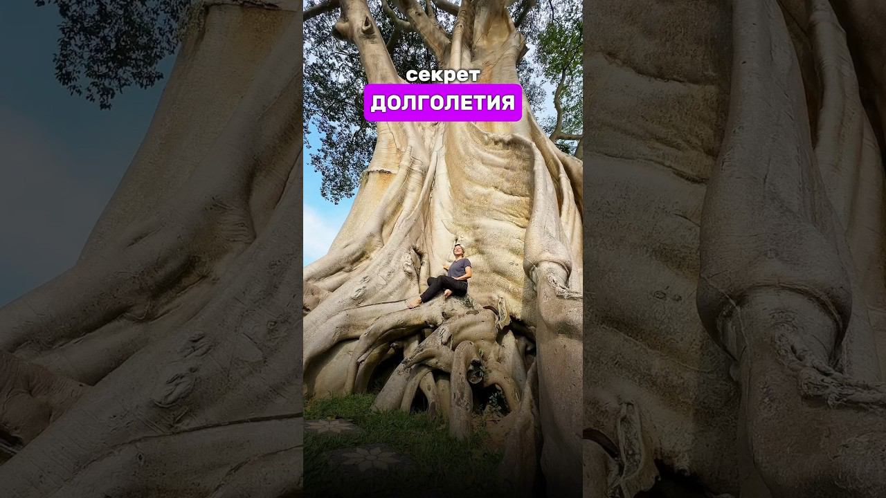 Секрет долголетия #долголетие #алтай #жизнь #качественнаяжизнь #игралила #медитации #путешествия