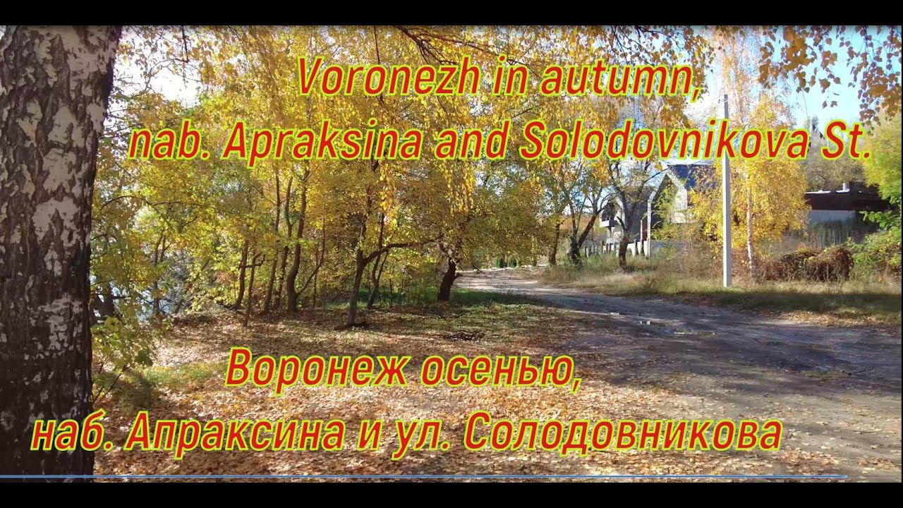 Воронеж осенью наб  Апраксина  ул  Солодовникова Voronezh in autumn Apraksin nab and Solodovnikov St