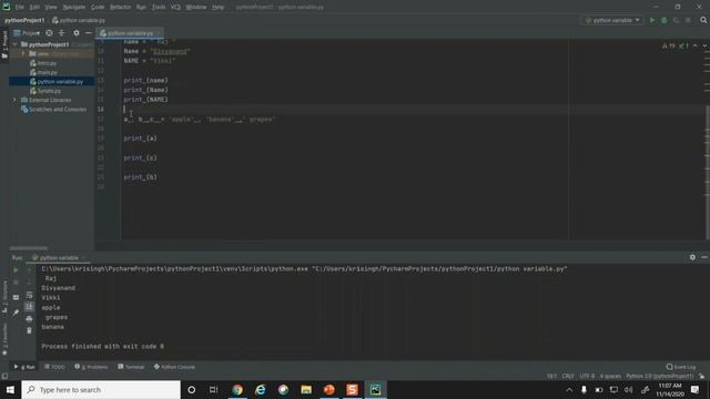 Python Tutorial | Python Variable  in detail | [Part 3]