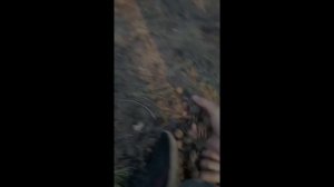 Как я съездил в археологическую экспедицию(Влог история из жизни)