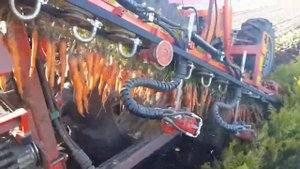 SIMON S2 _ S3 навесные комбайны для уборки моркови.mp4