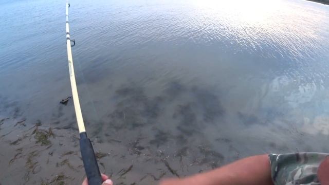 Рыбалка на щуку и карася смотреть онлайн