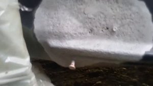 Оцинковка авто. OPEL CORSA - реставрация "жирного" очага на коробе .