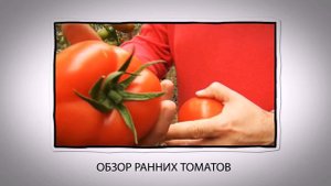 Полевод ТВ - все для тепличников и фермеров!