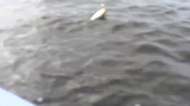 КАК ЛОВИТЬ ОКУНЯ НА ДЖИГ! ОКУНИ ВЫПРИГИВАЮТ! смотреть онлайн