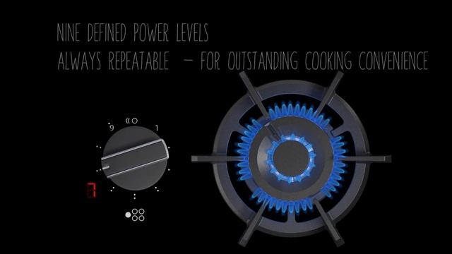 NEFF FlameSelect® Gas Cooktops смотреть онлайн