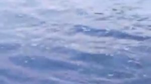 Рыбалка на реке Алатырь.