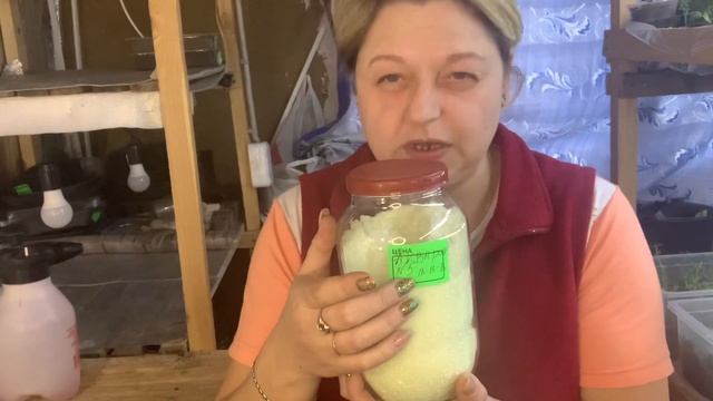 Чем и как подкармливать черенки хризантем смотреть онлайн