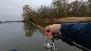 СУПЕР РЫБАЛКА НА ЖЕРЕХА \ 10 ШТУК С ОДНОЙ ТОЧКИ \ #самодельныеприманки #жерех #волкер #рыбалка