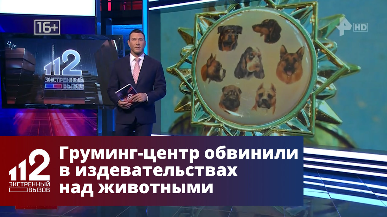 Груминг-центр в Екатеринбурге обвинили в издевательствах над животными