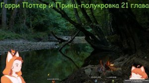 Чтение "Гарри Поттер и принц-полукровка" 20-21 главы