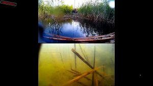 Мой способ прикармливания рыбы