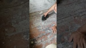 Устранение скрипа, подготовка к укладке ламината