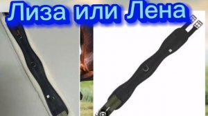 Лиза или Лена, выбери что нравятся конный спорт