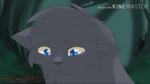 КОТЫ-ВОИТЕЛИ (я не сплю я живой)