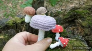 Вязаные грибочки. knitted mushrooms