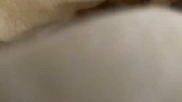 Жужа дома смотреть онлайн