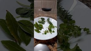 Лавровый лист выводит камни из почек и успокаивает нервы. Польза чая из лавра.