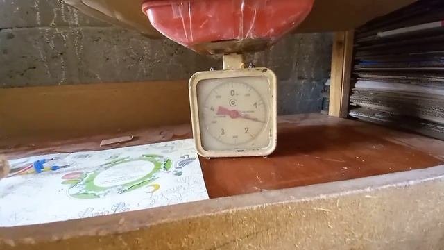Пополнение картонной копилки