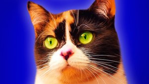 SlivkiShow-КОНЕЦ?