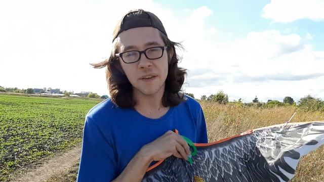 ЗАПУСКАЮ ВОЗДУШНОГО ЗМЕЯ смотреть онлайн