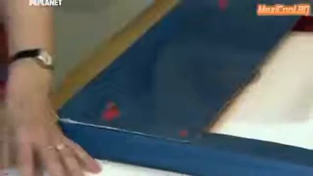 Кошки Бурмилла смотреть онлайн