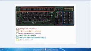 Назначение клавиш клавиатуры