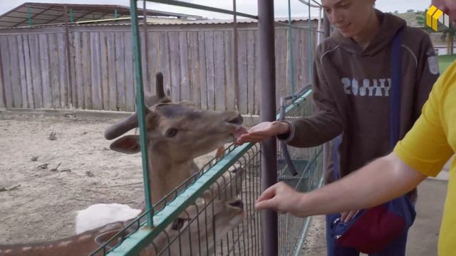 Чем заняться если живешь в доме у моря? Развлечения в Темрюке. смотреть онлайн