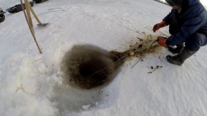 Проверяем СЕТИ на Волге! Неожиданный улов на мелководье.