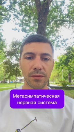 Метасимпатическая нервная система
#организм #бессознательное #органы