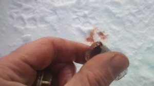 Сантехнический фильтр в системе охлаждения