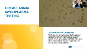 Mycoplasma and Ureaplasma Molecular Testing Does Not Correlate with Irritative or Painful LUTS