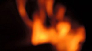 Брикеты или дрова. Чем выгоднее и лучше отапливать дом?