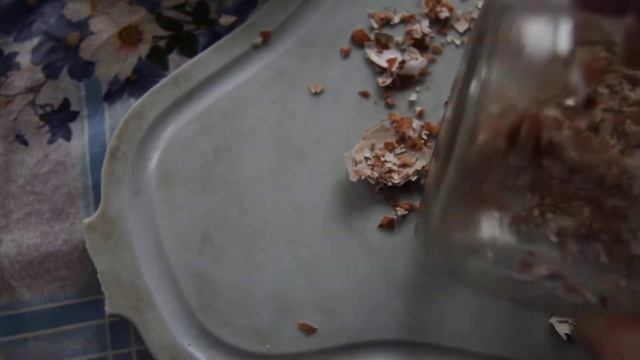 НАТУРАЛЬНАЯ ПОДКОРМКА РАССАДЫ: ЯИЧНАЯ СКОРЛУПА. 6 серия смотреть онлайн