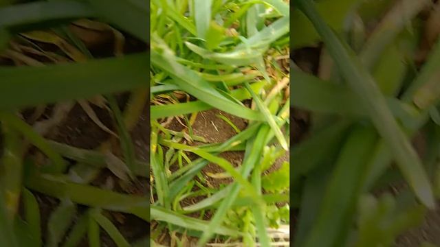 22 апреля 2023 г. смотреть онлайн